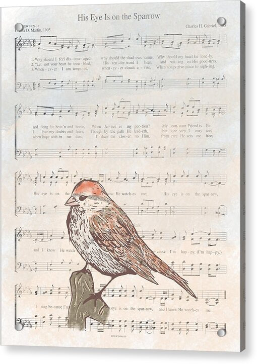 His Eye Is on the Sparrow - Acrylic Print
