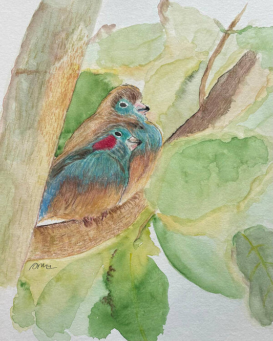 Love Birds - Art Print