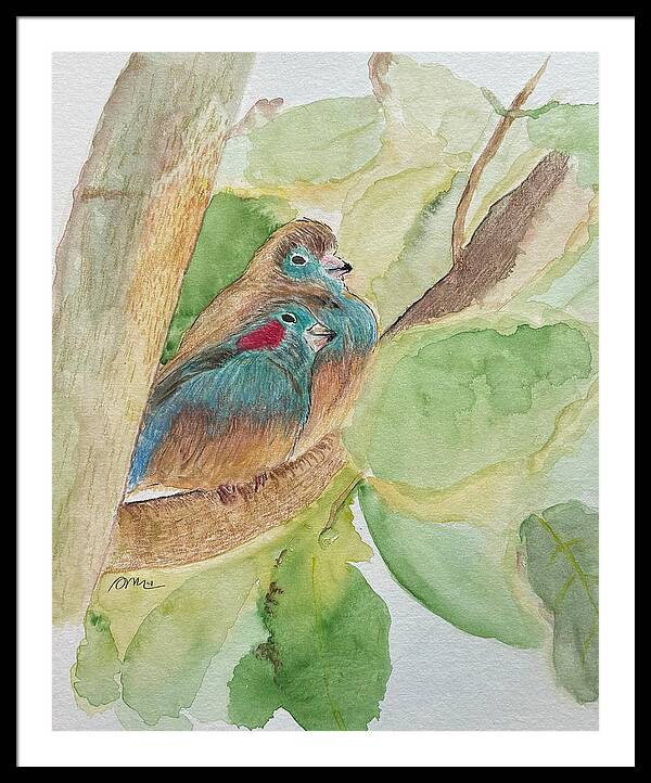 Love Birds - Framed Print