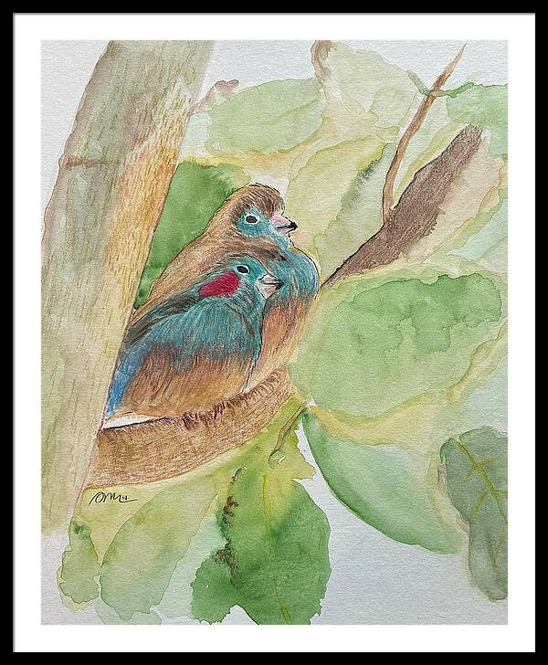 Love Birds - Framed Print