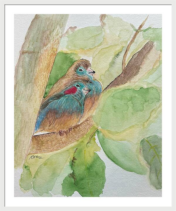Love Birds - Framed Print