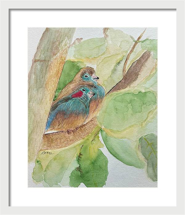 Love Birds - Framed Print