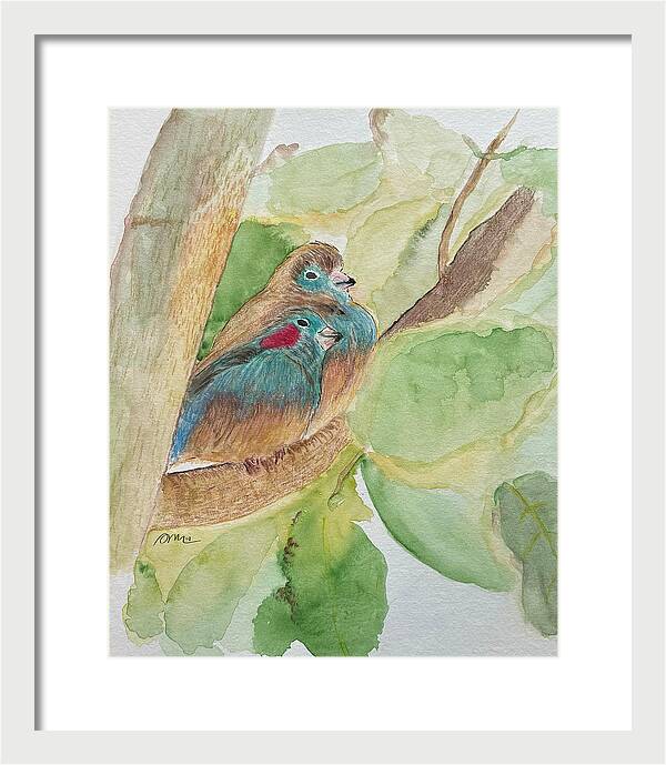 Love Birds - Framed Print