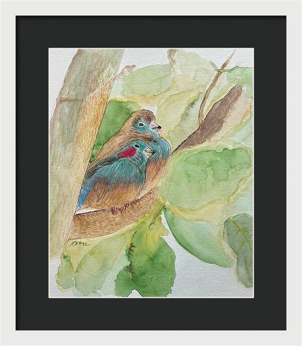 Love Birds - Framed Print