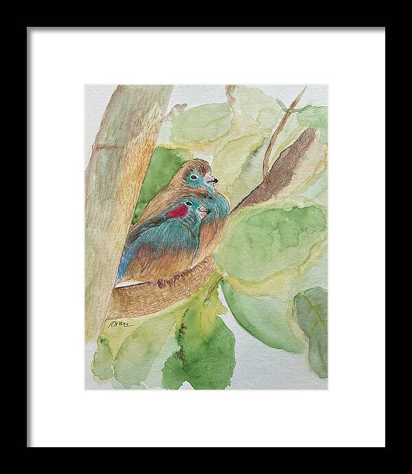 Love Birds - Framed Print