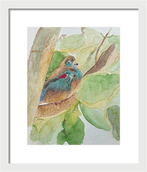 Love Birds - Framed Print