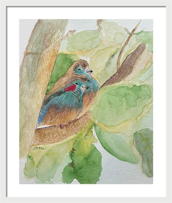 Love Birds - Framed Print