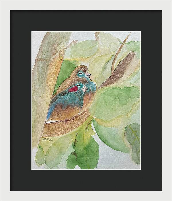 Love Birds - Framed Print