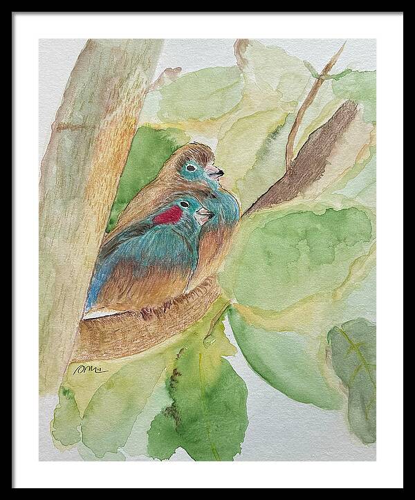 Love Birds - Framed Print