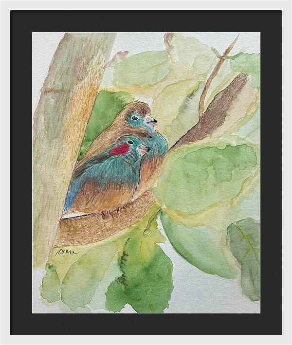 Love Birds - Framed Print