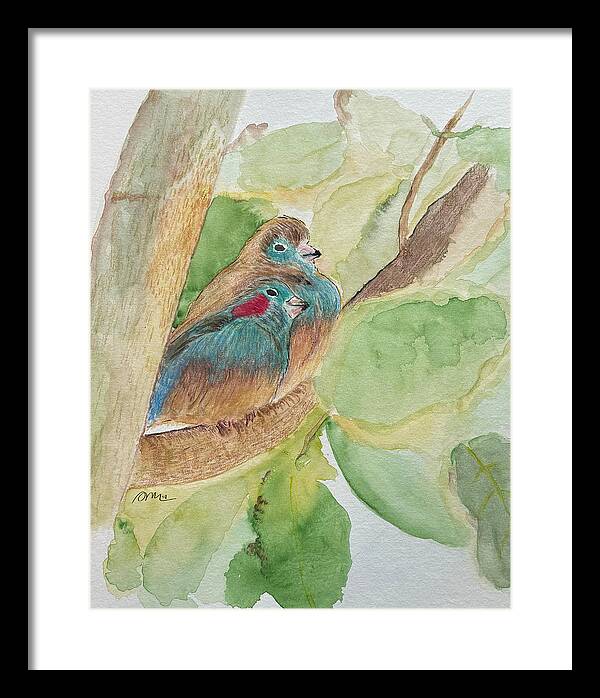 Love Birds - Framed Print