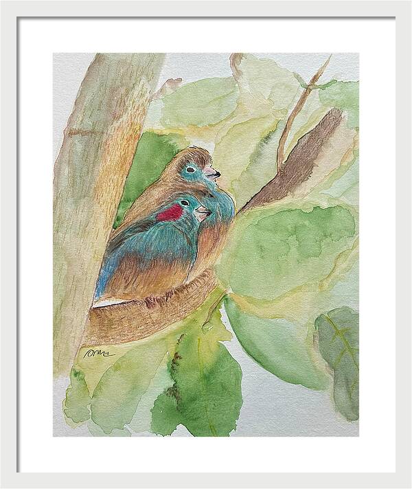 Love Birds - Framed Print