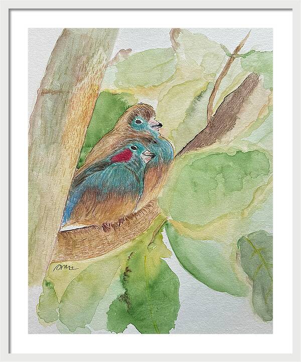 Love Birds - Framed Print