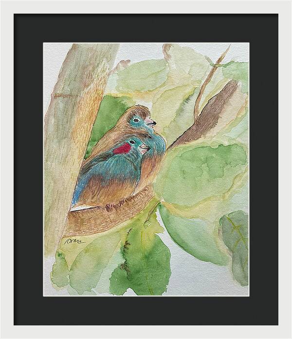 Love Birds - Framed Print