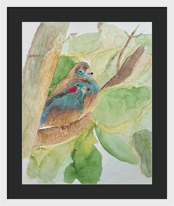 Love Birds - Framed Print