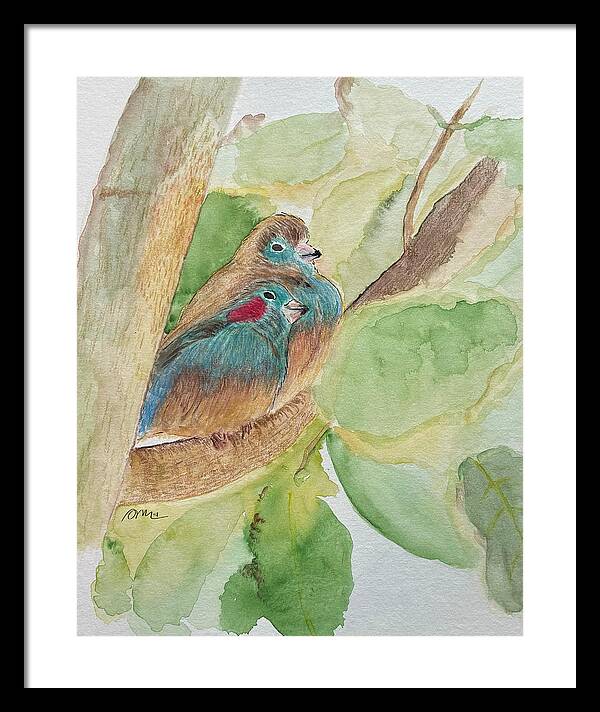 Love Birds - Framed Print
