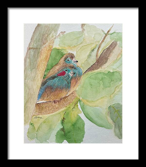 Love Birds - Framed Print