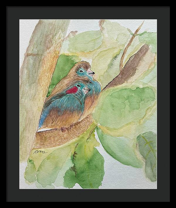 Love Birds - Framed Print