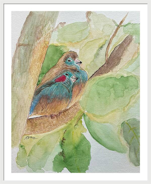 Love Birds - Framed Print