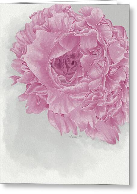 Pink Peony Close-Up - Greeting Card